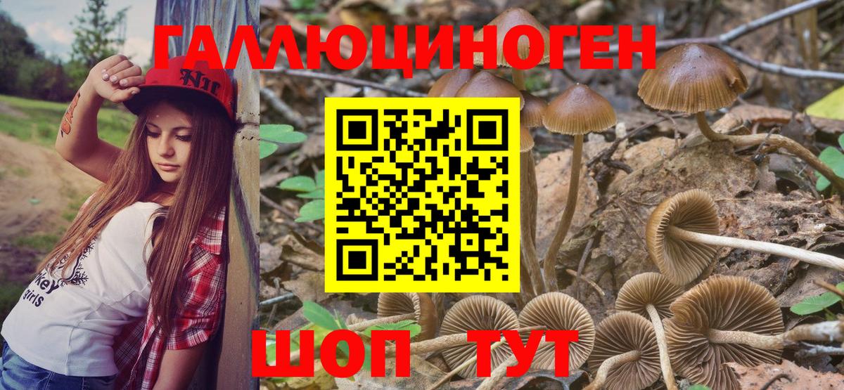 Железноводск  Галлюциногенные грибы Magic Shrooms  Вход с VPN 